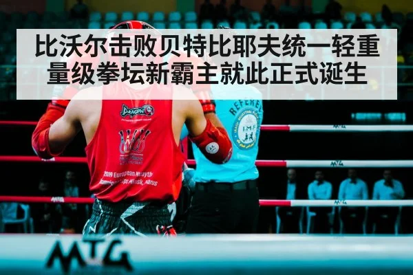 比沃尔击败贝特比耶夫统一轻重量级拳坛新霸主就此正式诞生